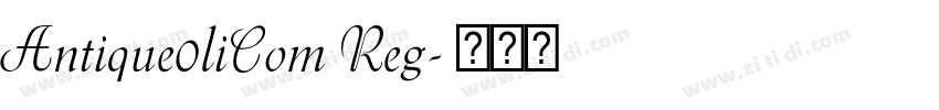 Antique0liCom Reg字体转换